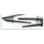 BUTTON HEAD STAINLESS STEEL RIVETS